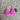 DEFINE FLEX BRA HOT PINK